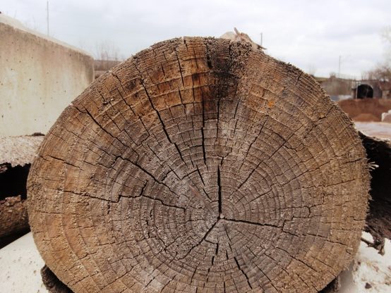 Kippgebühr Altholz A1-A3 unbelastetes Holz/Paletten