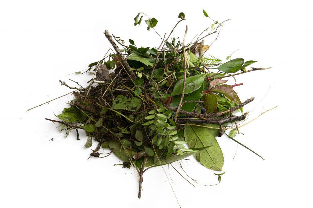 Kippgebühr Grünschnitt/Gehölz und Stammholz/Wurzeln