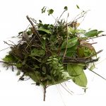 Kippgebühr Grünschnitt/Gehölz und Stammholz/Wurzeln