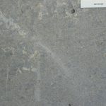 Muschelkalk Bodenplatten Kirchheimer 30er-Bahn x 4 cm, allseits gesägt