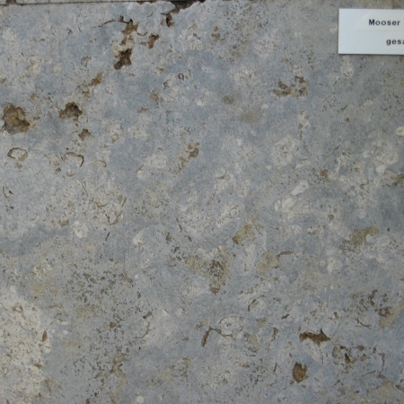 Muschelkalk Bodenplatten Mooser 30er-Bahn x 4 cm, gesägt OF C 60-120