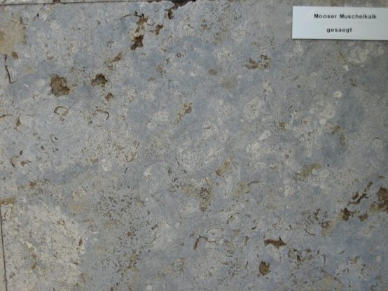 Muschelkalk Bodenplatten Mooser 30er-Bahn x 4 cm, gesägt OF C 60-120