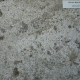 Muschelkalk Bodenplatten Mooser 30er-Bahn x 4 cm, gestockt oder gestrahlt