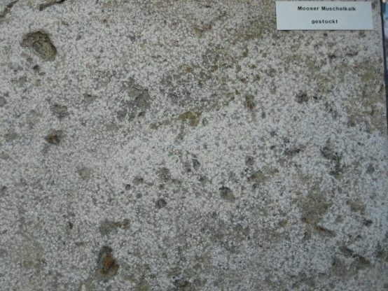 Muschelkalk Bodenplatten Mooser 30er-Bahn x 4 cm, gestockt oder gestrahlt