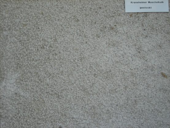 Muschelkalk Bodenplatten Sellenberger 30er-Bahn x 4 cm, gestockt oder gestrahlt