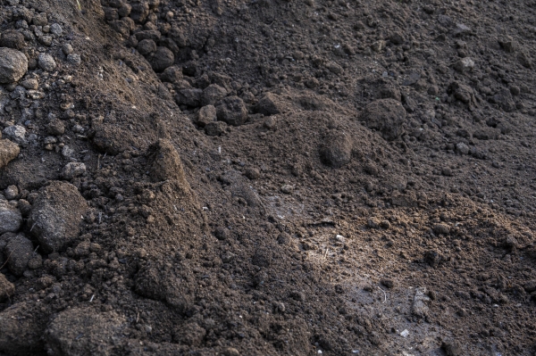 Mutterboden 0/20 mm, gesiebt mit Sand- und Kompostanteilen (Ohne Prüfzeugniss)