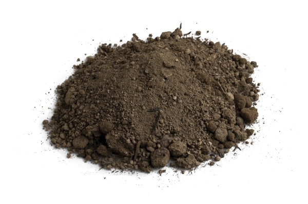 Mutterboden 0/20 mm, gesiebt mit Sand- und Kompostanteilen (Ohne Prüfzeugniss)