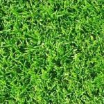 Rollrasen Premiumrasen Supra Abnahmemenge 1-1000 m²