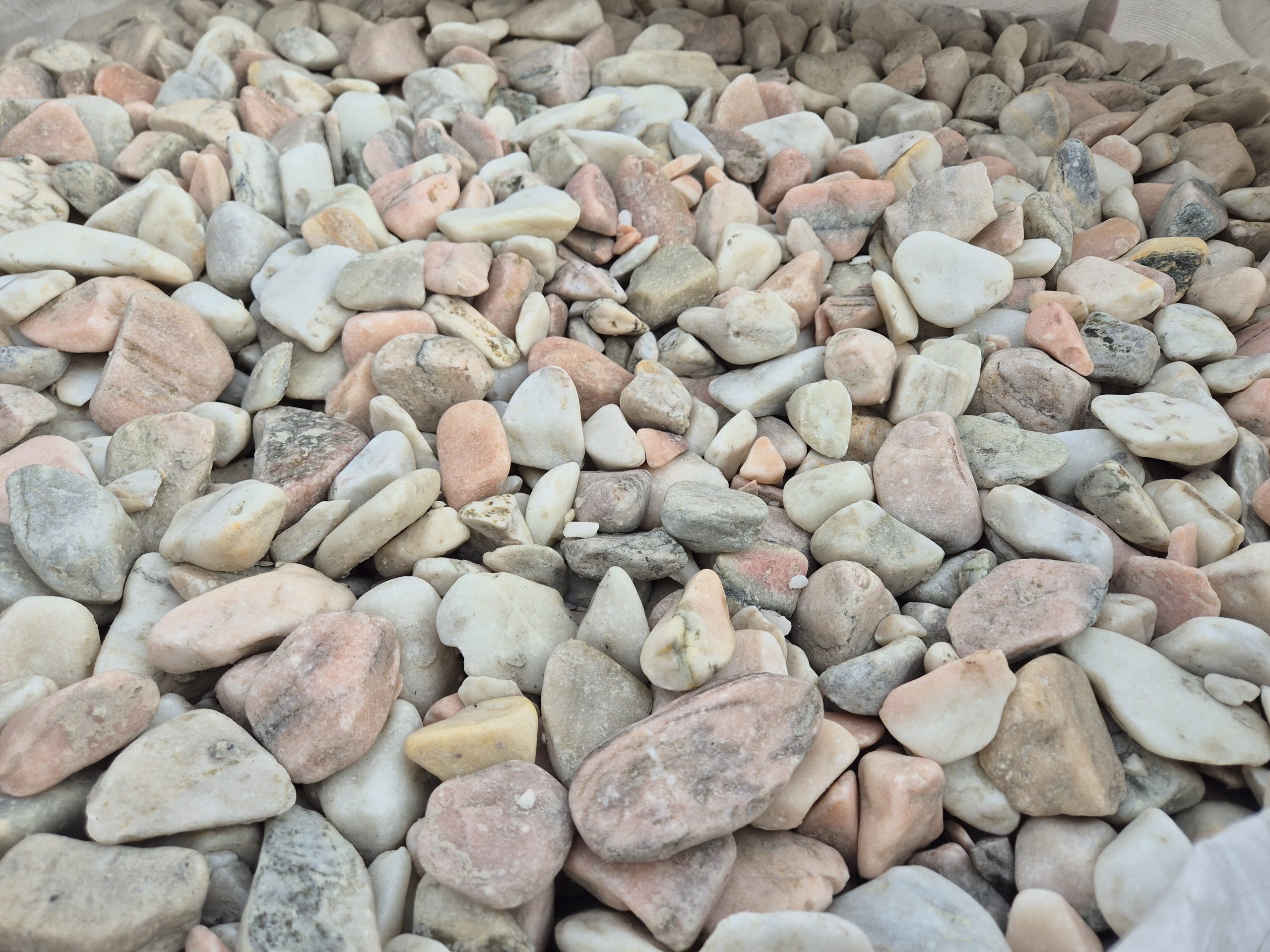 Rosa Portugal 25/40 mm im Big-Bag