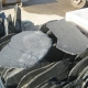 Schiefer Step Stone (schwarz) Ø 50-70 x 2-3 cm, unregelmäßige Form